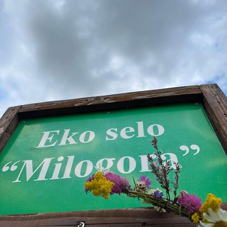 Etno Selo - Guest House Etno Village - Trsa プルジネ エクステリア 写真