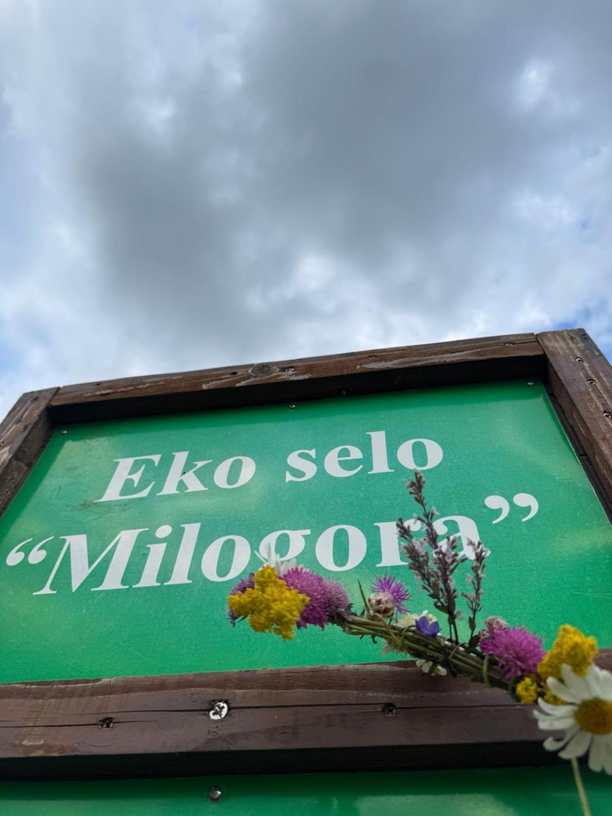 Etno Selo - Guest House Etno Village - Trsa プルジネ エクステリア 写真